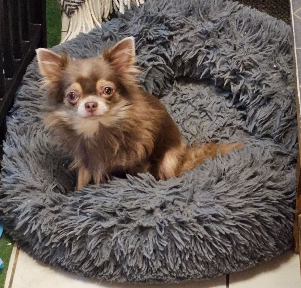 Tip-top de la grande equinoxe