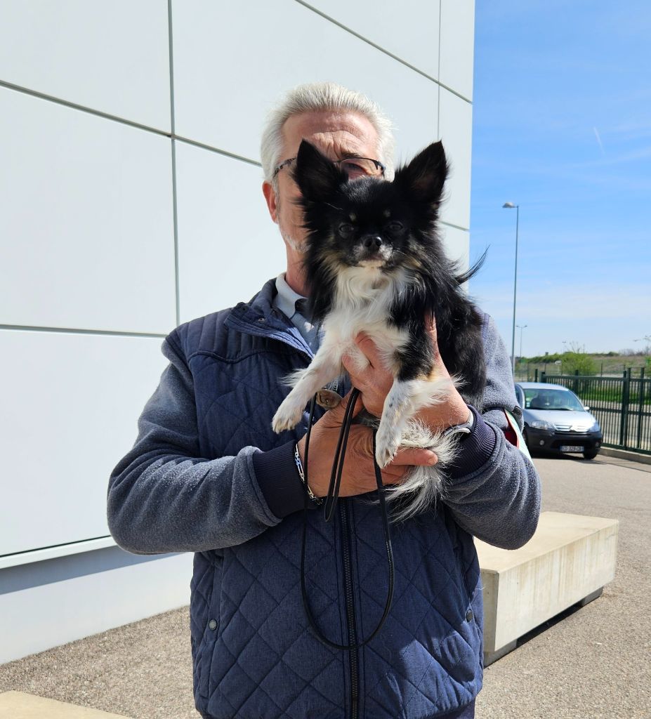 TITO des Blancs Moutons